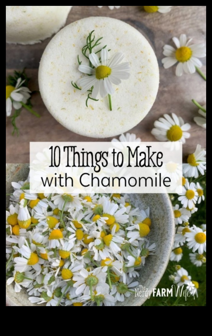 DIY Chamomile Tea Bar: Crafting Your Personalized Relaxation Brew