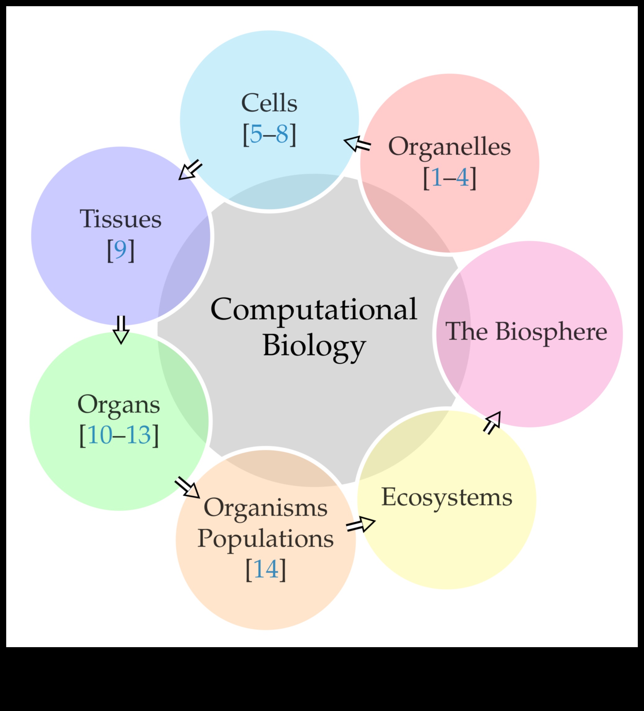 Βιολογία με επίκεντρο τον χρήστη: Δημιουργία εξατομικευμένων εμπειριών με βιοτεχνολογικές προόδους