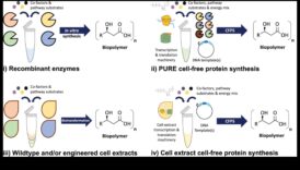 Biology's Next Frontier Personalizing Experiences με Βιοτεχνολογικές Προόδους 3 Βιολογία με επίκεντρο τον χρήστη: Δημιουργία εξατομικευμένων εμπειριών με βιοτεχνολογικές προόδους