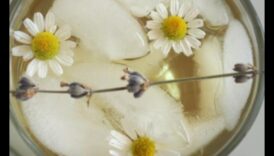 DIY Chamomile Tea Bar: Crafting Your Personalized Relaxation Brew