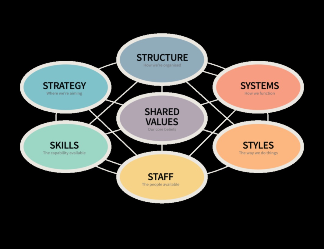 Riding the Business Wave: Strategies for Consulting Success